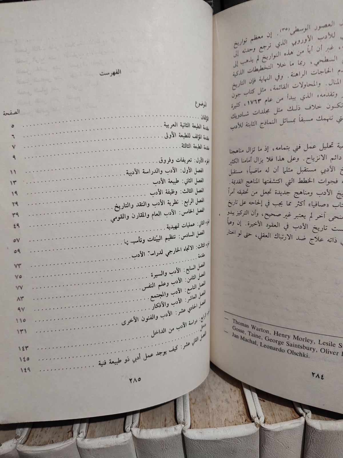 ويليك - نظرية الأدب